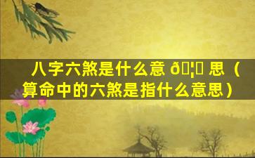 八字六煞是什么意 🦆 思（算命中的六煞是指什么意思）